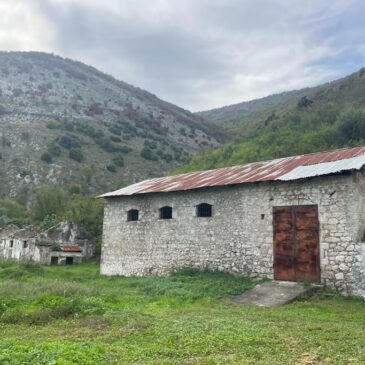 Një Çati për Kulturën – Iniciativa për Mbrojtjen e Trashëgimisë së Ndre Mjedës